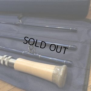 画像4: 【ECHO】 SWING-6116 11'6" #6