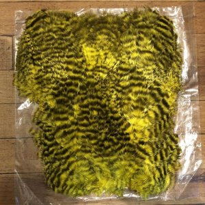 画像2: 【HARELINE】 Grizzly Soft Hackle Marabou Patch