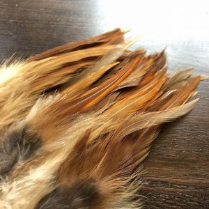 画像2: 【HARELINE】 6-7" Woolly Bugger Saddle Hackle