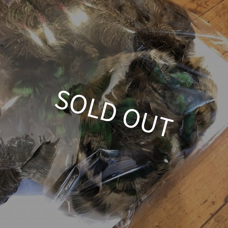 画像2: 【CANAL】 PEACOCK IMMATURE コンプリート(2) (2)