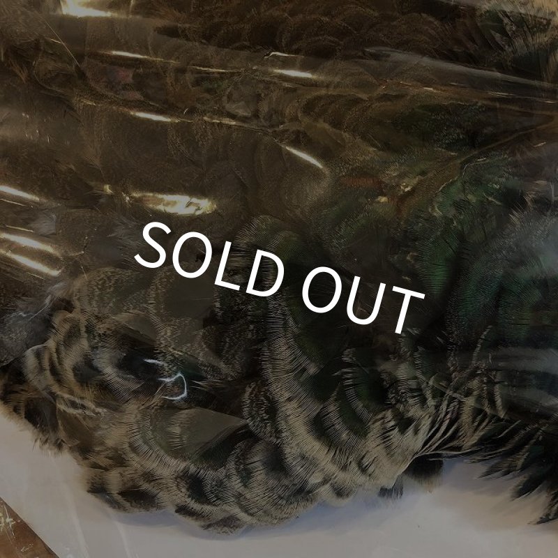 画像3: 【CANAL】 PEACOCK IMMATURE コンプリート(1) (3)