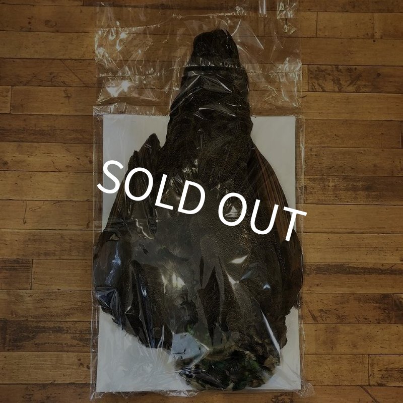 画像1: 【CANAL】 PEACOCK IMMATURE コンプリート(2) (1)