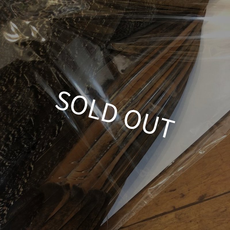 画像3: 【CANAL】 PEACOCK IMMATURE コンプリート(2) (3)