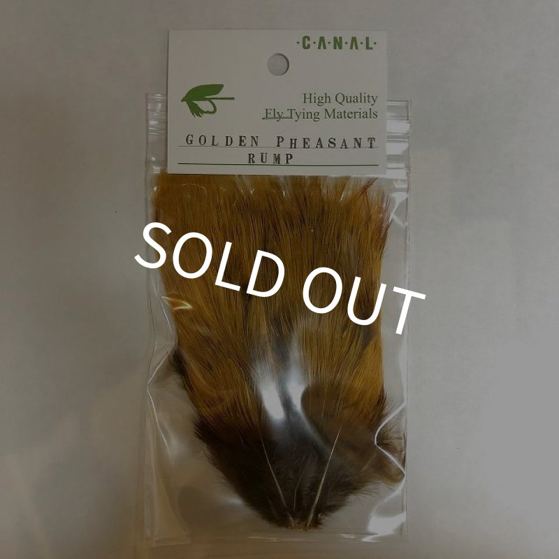 画像1: 【CANAL】 GOLDEN PHEASANT RUMP (1)