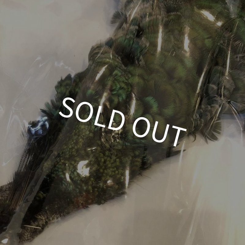 画像2: 【CANAL】 PEACOCK IMMATURE コンプリート(1) (2)