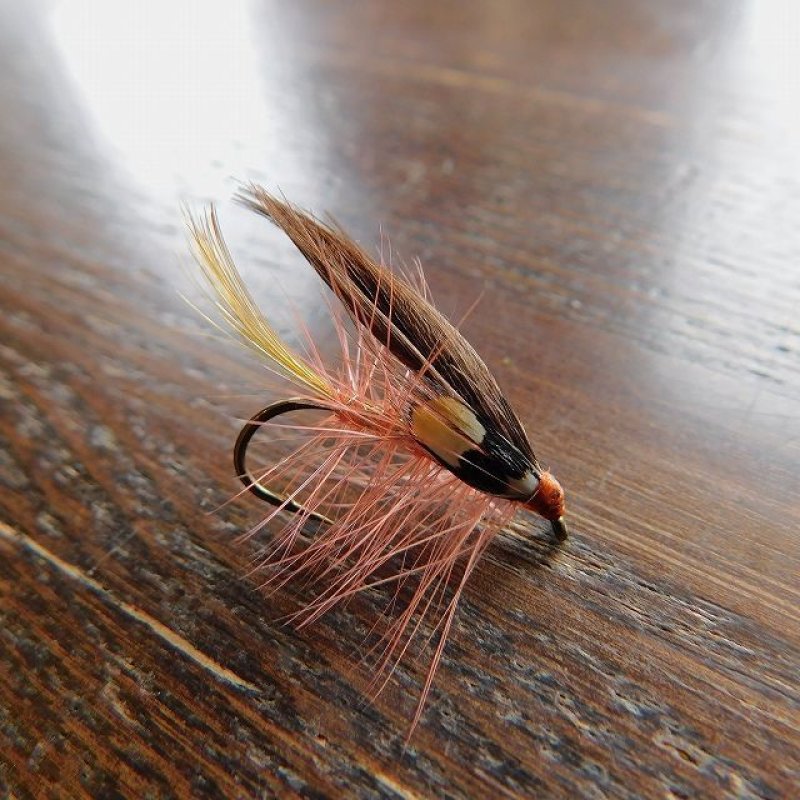 画像1: 【完成品フライ】 ダンケルド (1)