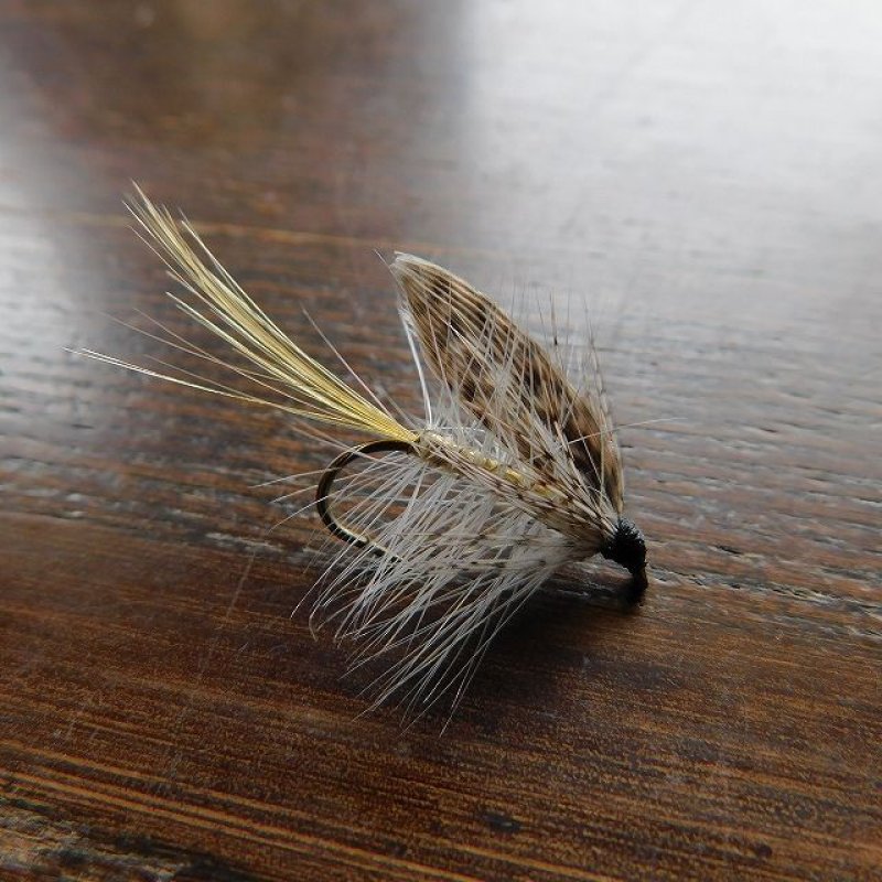 画像1: 【完成品フライ】 グレートセッジ (1)