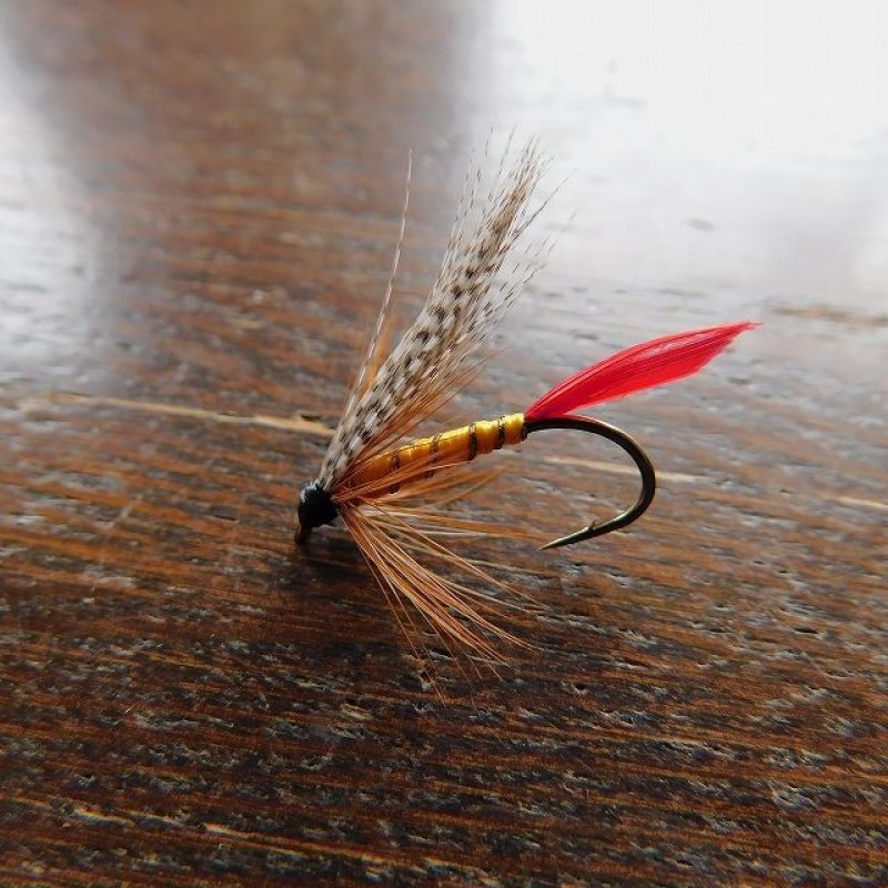 画像1: 【完成品フライ】 プロフェッサー (1)