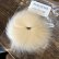 画像2: 【SWEETFISH】 Arctic Fox Tail (2)