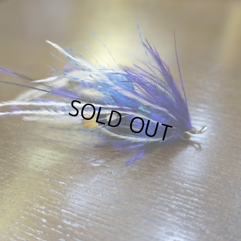 画像1: 【Y Nakano】 イントゥルーダー (1)