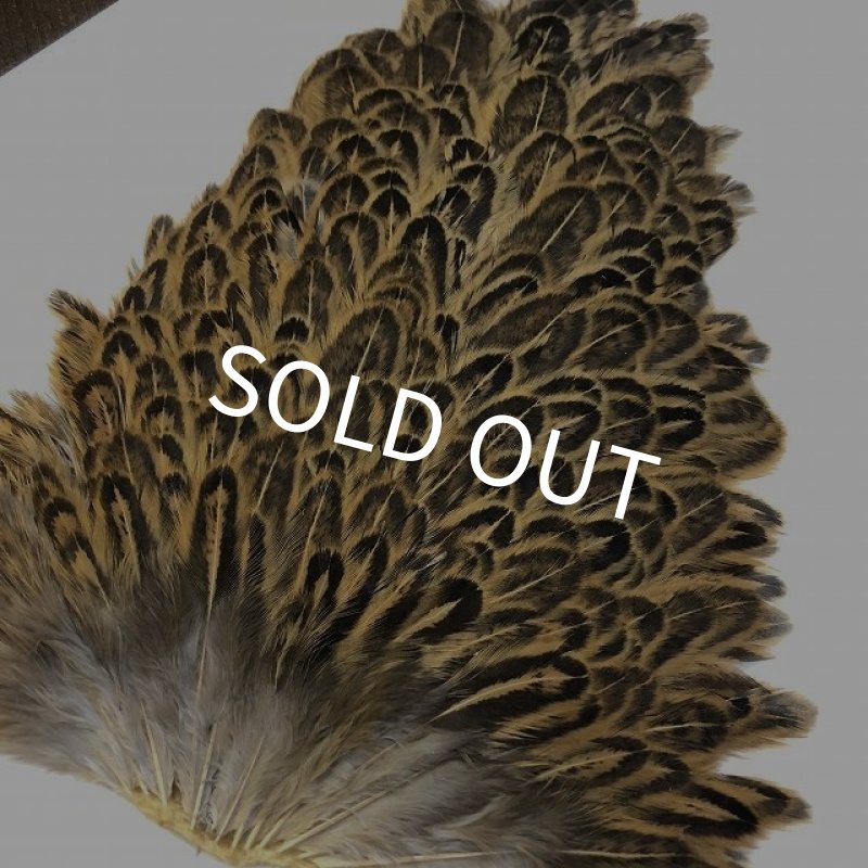 画像3: 【ANGLE】 ヘンハックル サドル (3)