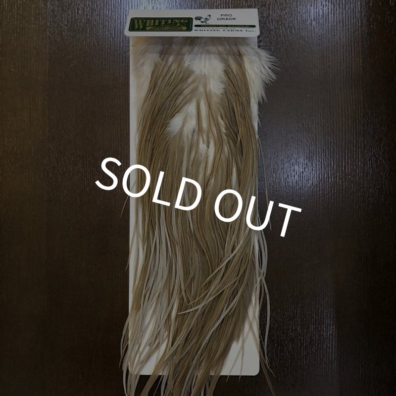 画像1: 【WHITING】 Hebert Pro Grade Saddle Light TanDun #14 (1)