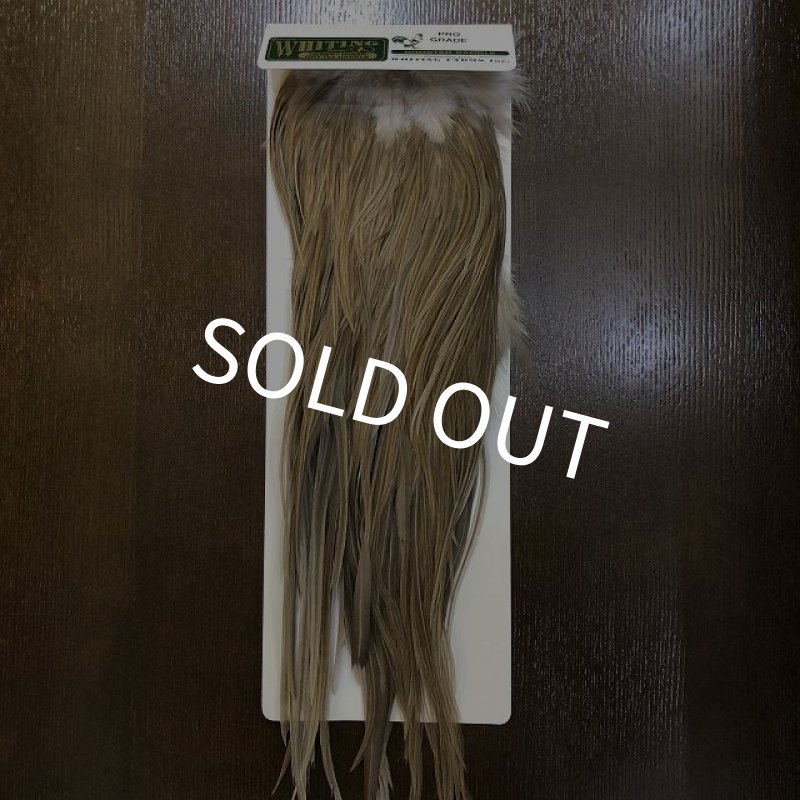 画像1: 【WHITING】 Hebert Pro Grade Saddle Medium GreyDun #14 (1)