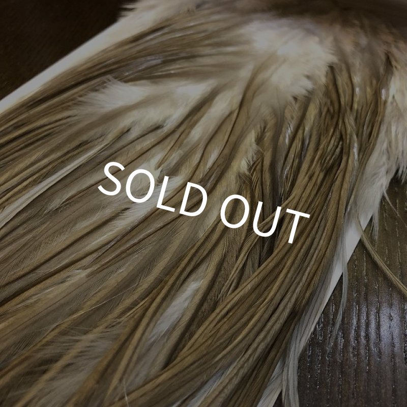 画像4: 【WHITING】 Hebert Pro Grade Saddle Light TanDun #14 (4)