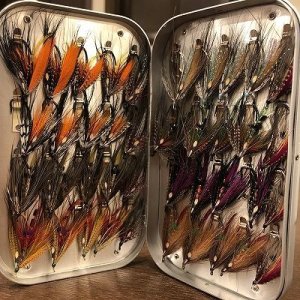 画像2: 【ATLANTICFLIES】 LeBlanc's Aldo Salmon