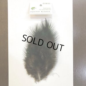 画像1: 【CANAL】 PEACOCK MARABOU PATCH