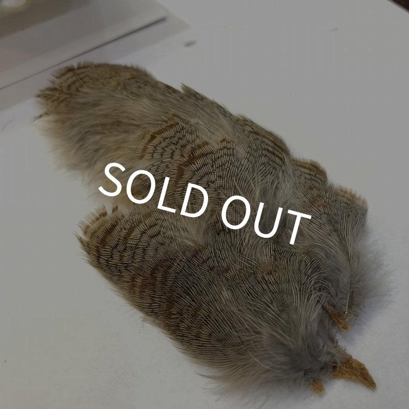 画像2: 【CANAL】 PARTRIDGE GREY NECK PATCH(パートリッジ) (2)