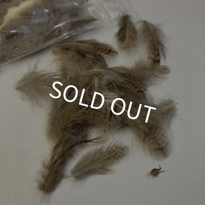 画像2: 【CANAL】 PARTRIDGE BROWNBACK BULK (パートリッジ) (2)