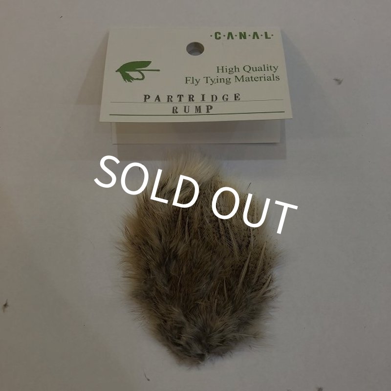 画像1: 【CANAL】 PARTRIDGE RUMP(パートリッジ) (1)