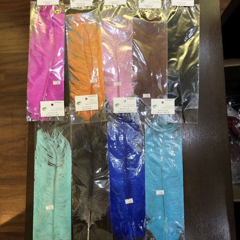 画像4: 【CANAL】 OSTRICH(オーストリッチ) (4)