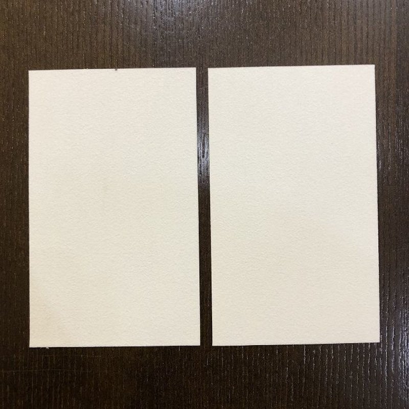 画像2: 【SUPER FLY】 フライスウェード (2)