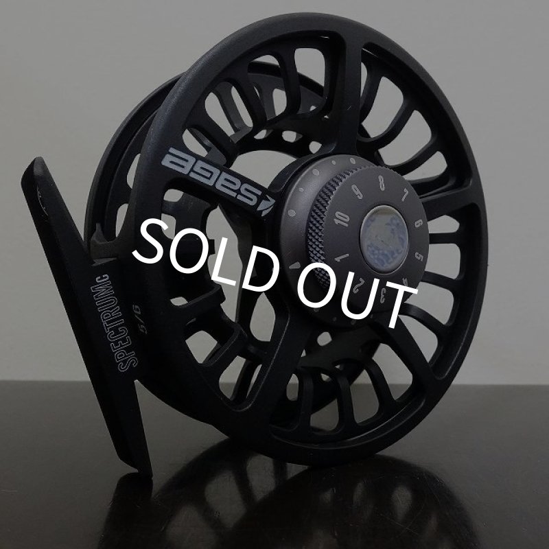 画像3: 【SAGE】SPECTRUM C #5/6 (3)