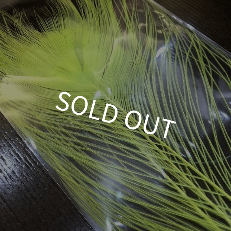 画像3: 【CANAL】 WHITE PEACOCK EYE ダイドカラー (3)