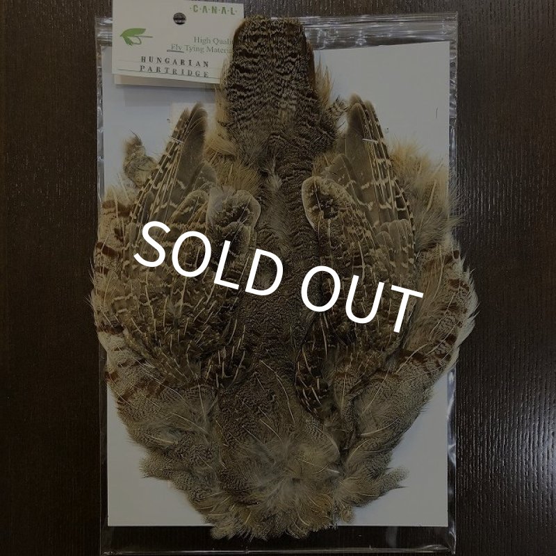 画像1: 【CANAL】 Hungarian Partridge Complete (1)
