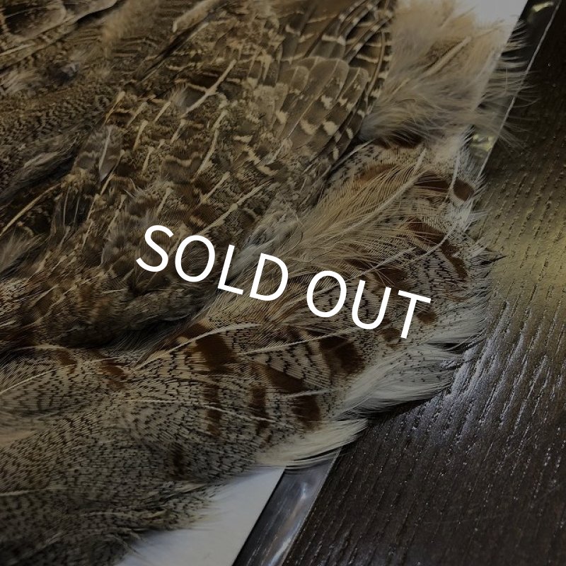 画像3: 【CANAL】 Hungarian Partridge Complete (3)