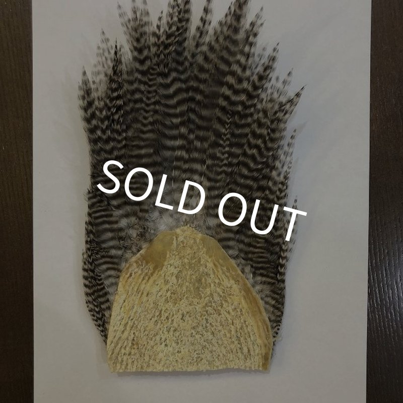 画像6: 【CANAL】 ラージハックル (6)