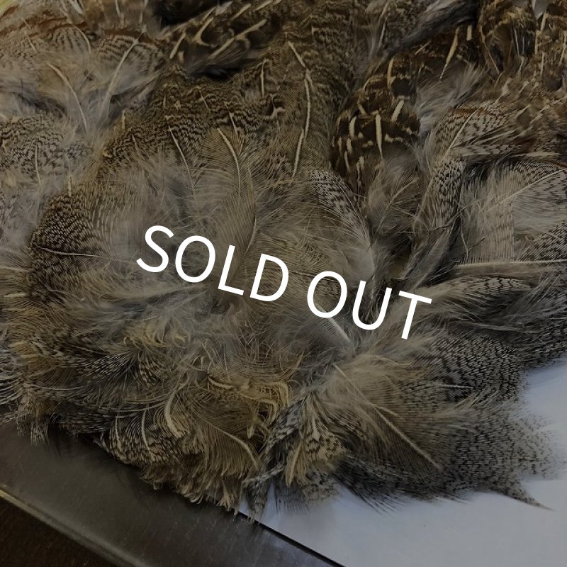 画像2: 【CANAL】 Hungarian Partridge Complete (2)