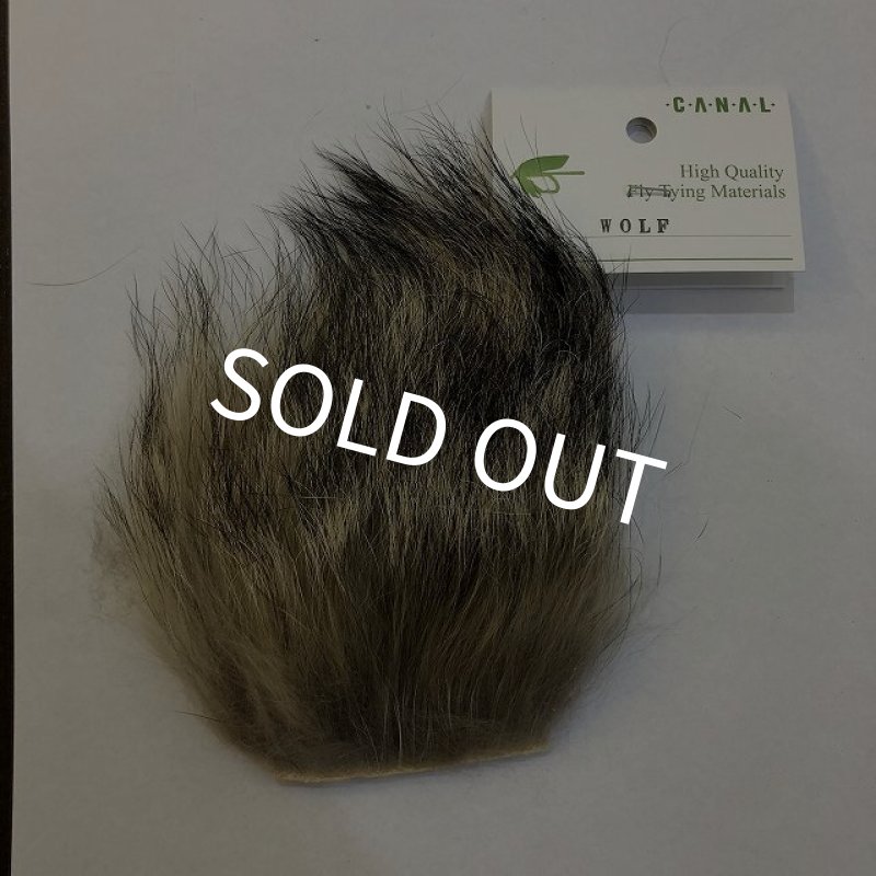 画像1: 【CANAL】 WOLF (1)