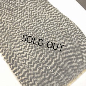 画像4: 【CANAL】 ラージハックル