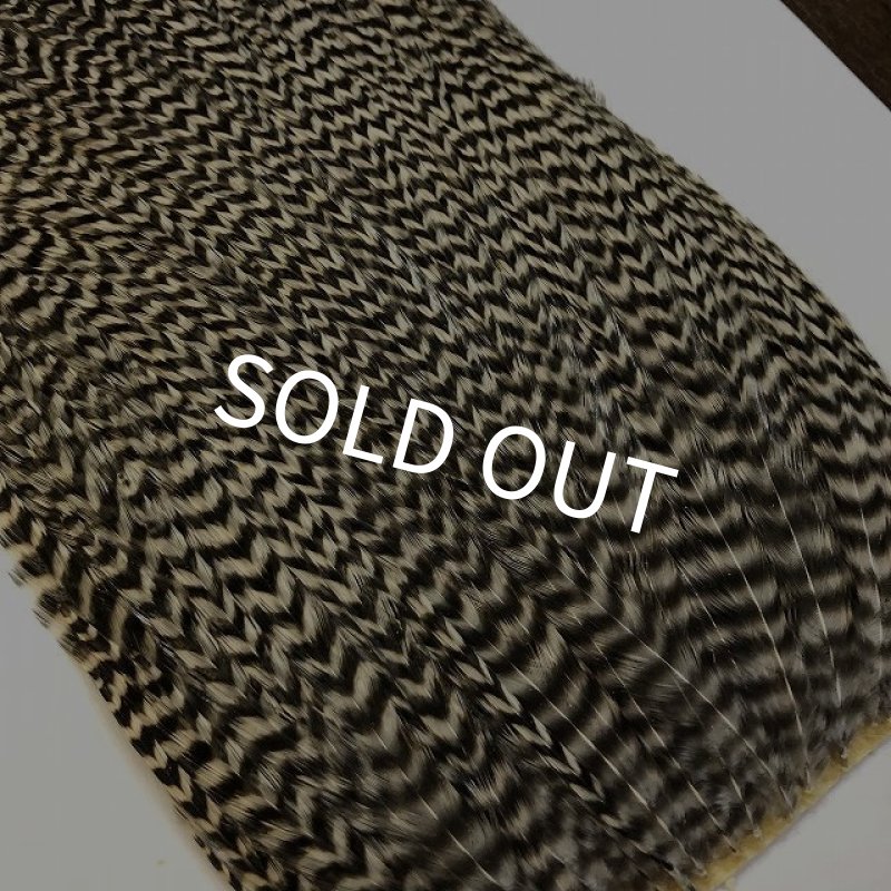 画像4: 【CANAL】 ラージハックル (4)