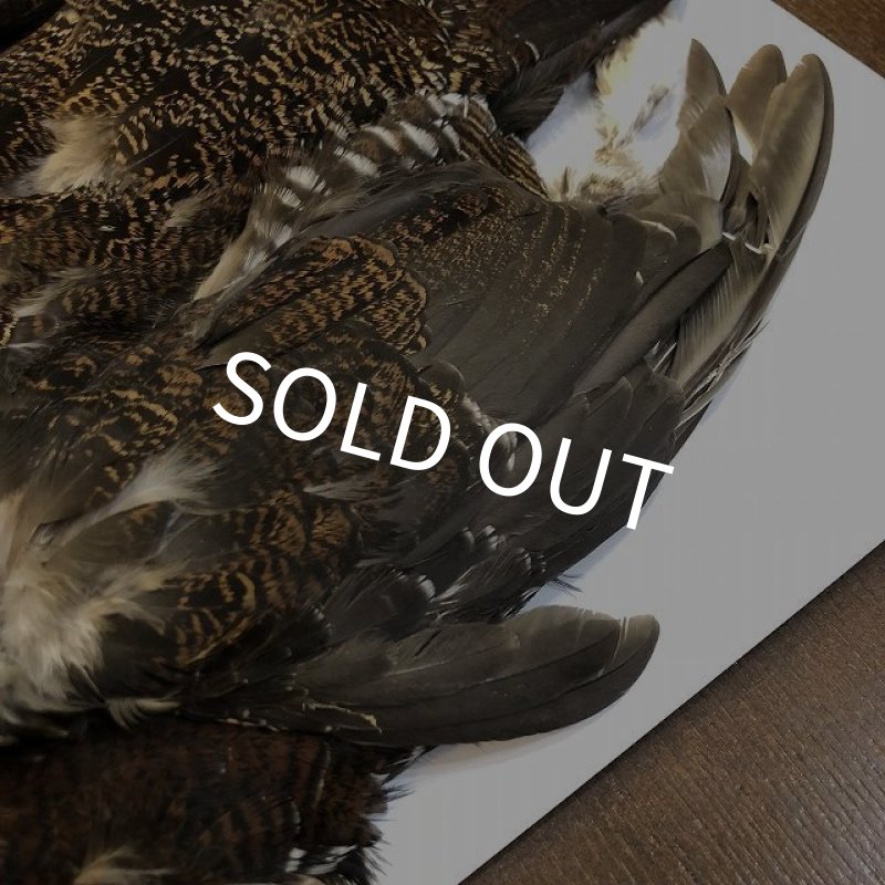 画像4: 【CANAL】 GROUSE COMPLETE (4)