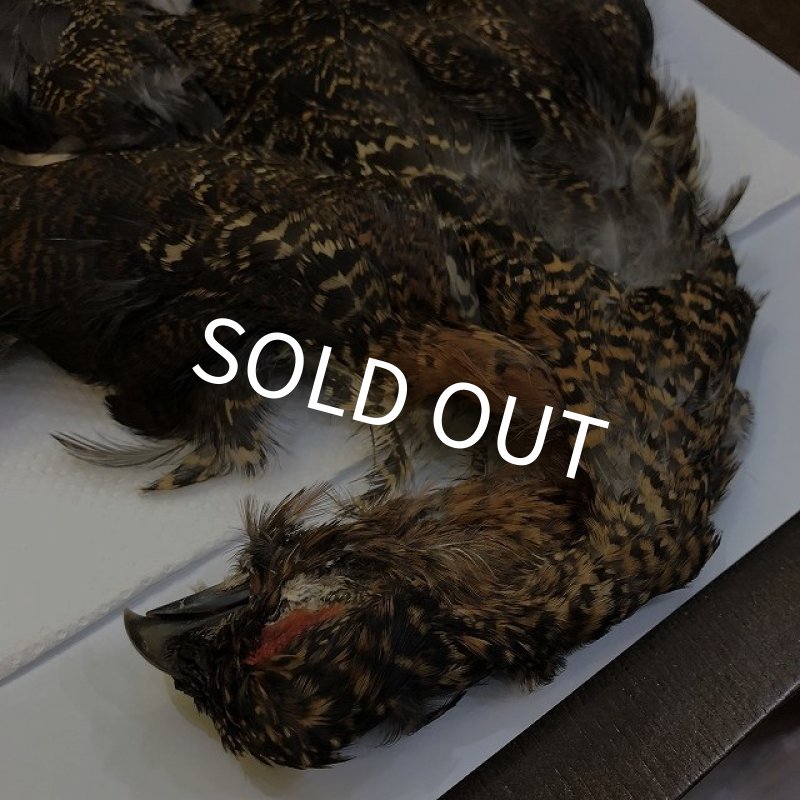 画像2: 【CANAL】 GROUSE COMPLETE (2)