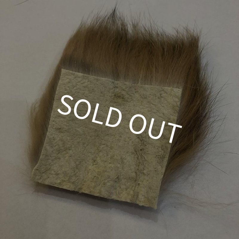 画像3: 【CANAL】 CANADIAN LYNX (3)