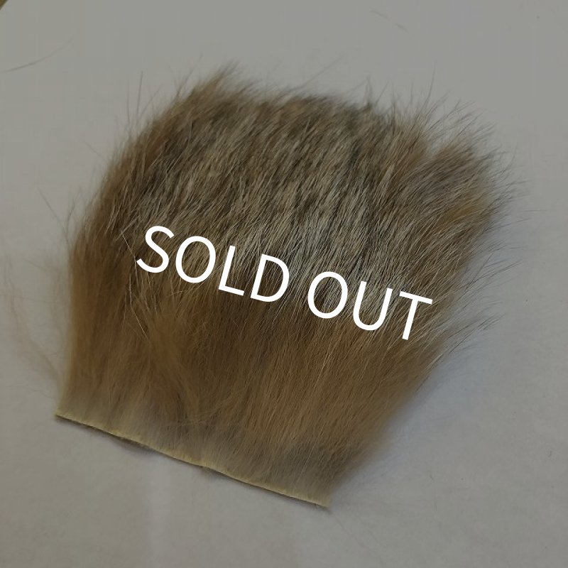 画像2: 【CANAL】 CANADIAN LYNX (2)