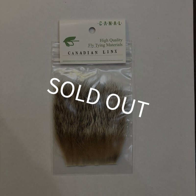 画像1: 【CANAL】 CANADIAN LYNX (1)