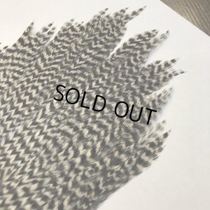 画像5: 【CANAL】 ラージハックル