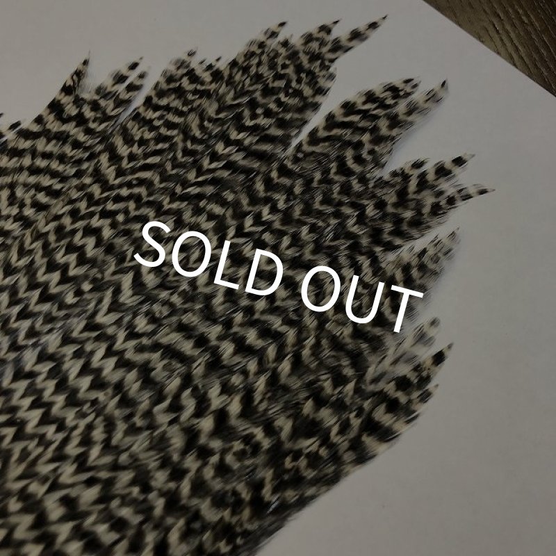 画像5: 【CANAL】 ラージハックル (5)