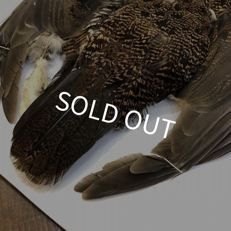 画像5: 【CANAL】 GROUSE COMPLETE (5)