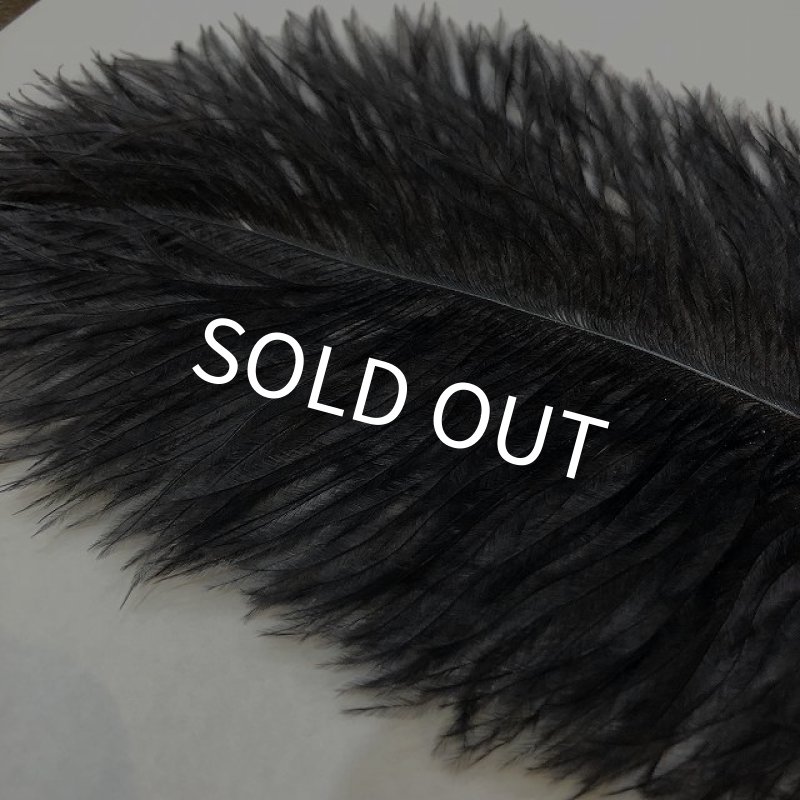 画像4: 【CANAL】 Ostrich Marabou(オーストリッチマラブー) (4)