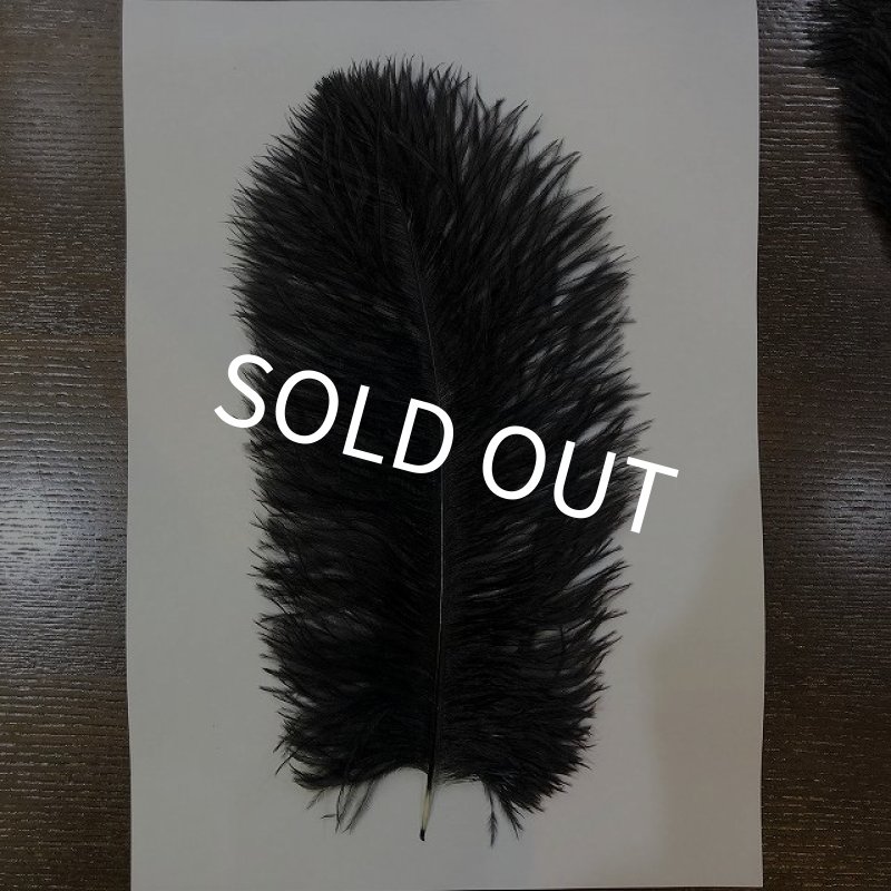 画像3: 【CANAL】 Ostrich Marabou(オーストリッチマラブー) (3)