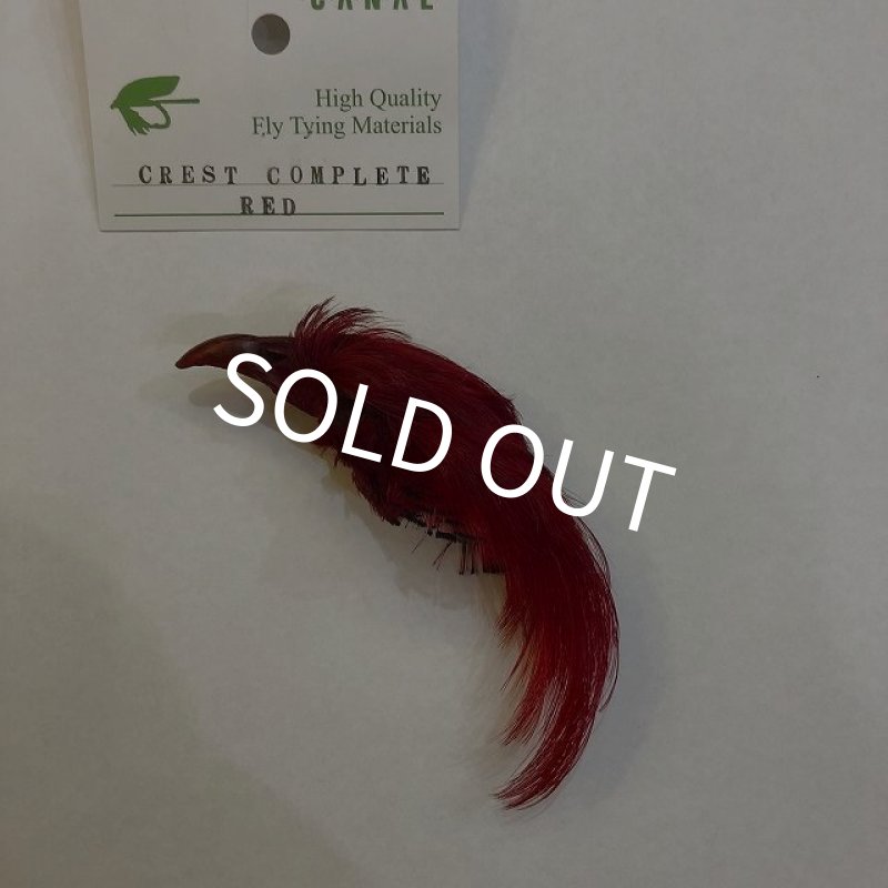 画像1: 【CANAL】 Golden Pheasant Crest Red (1)