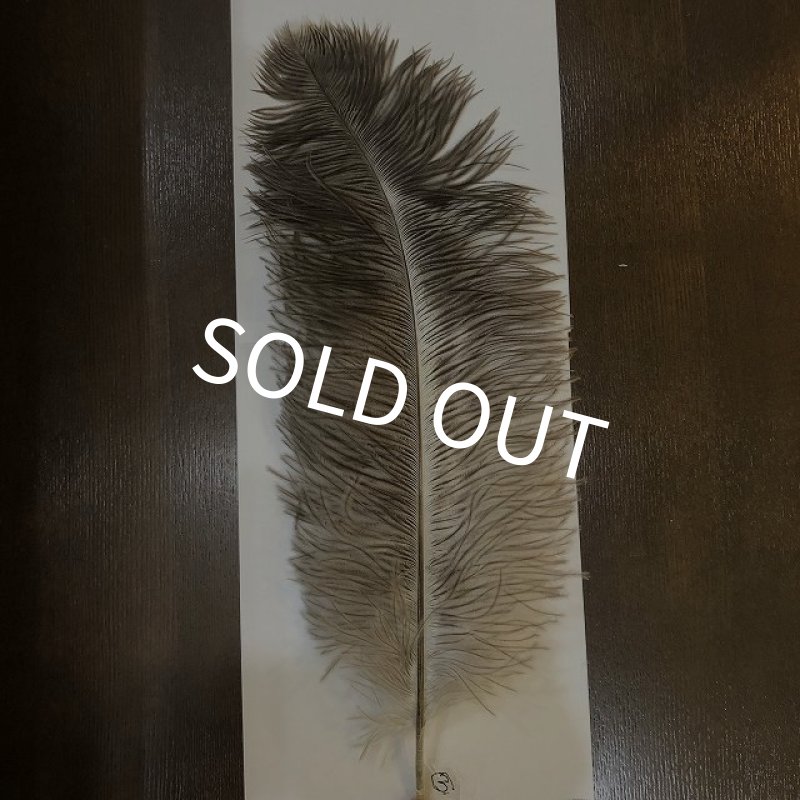 画像6: ナチュラルオーストリッチ(特大) (6)