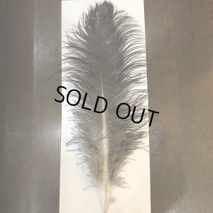 画像5: ナチュラルオーストリッチ(特大)