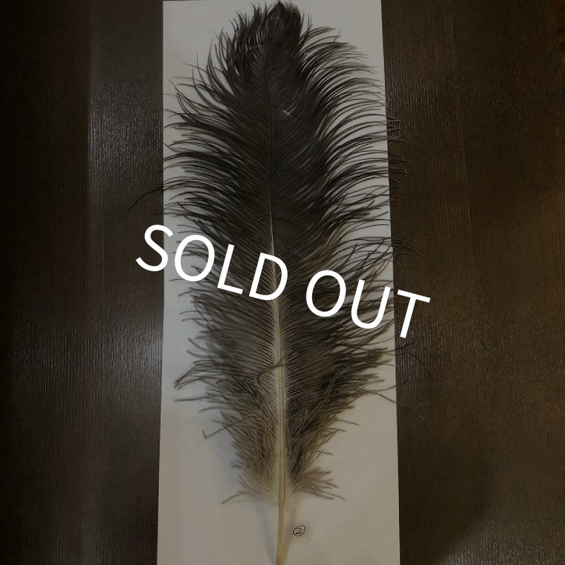 画像5: ナチュラルオーストリッチ(特大) (5)