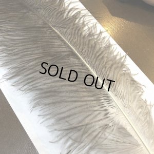 画像3: ナチュラルオーストリッチ(特大)