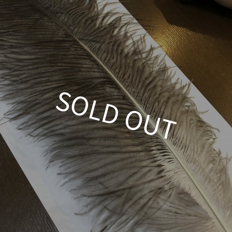 画像3: ナチュラルオーストリッチ(特大) (3)